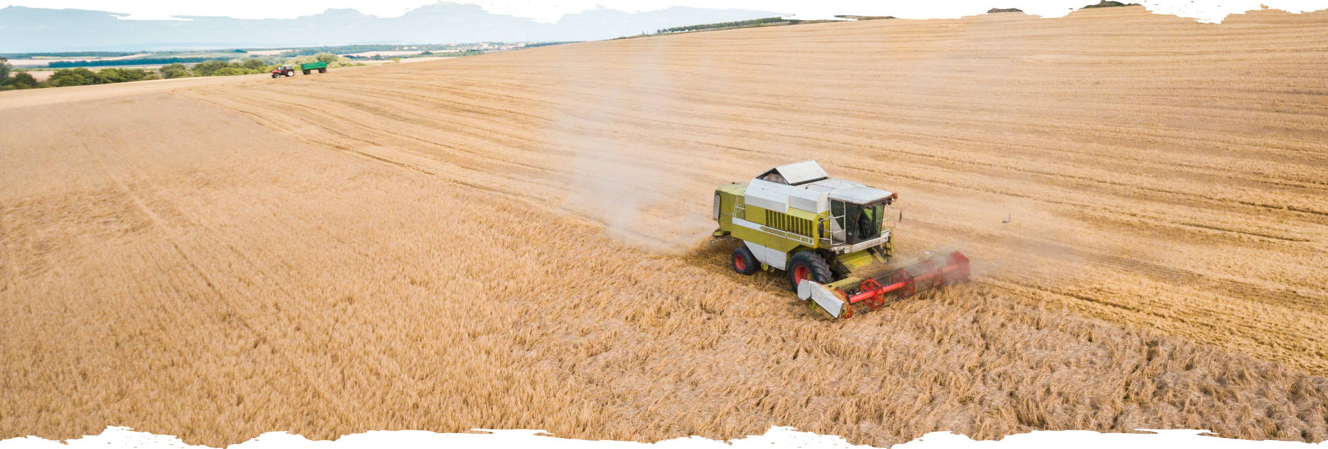 Farm Video